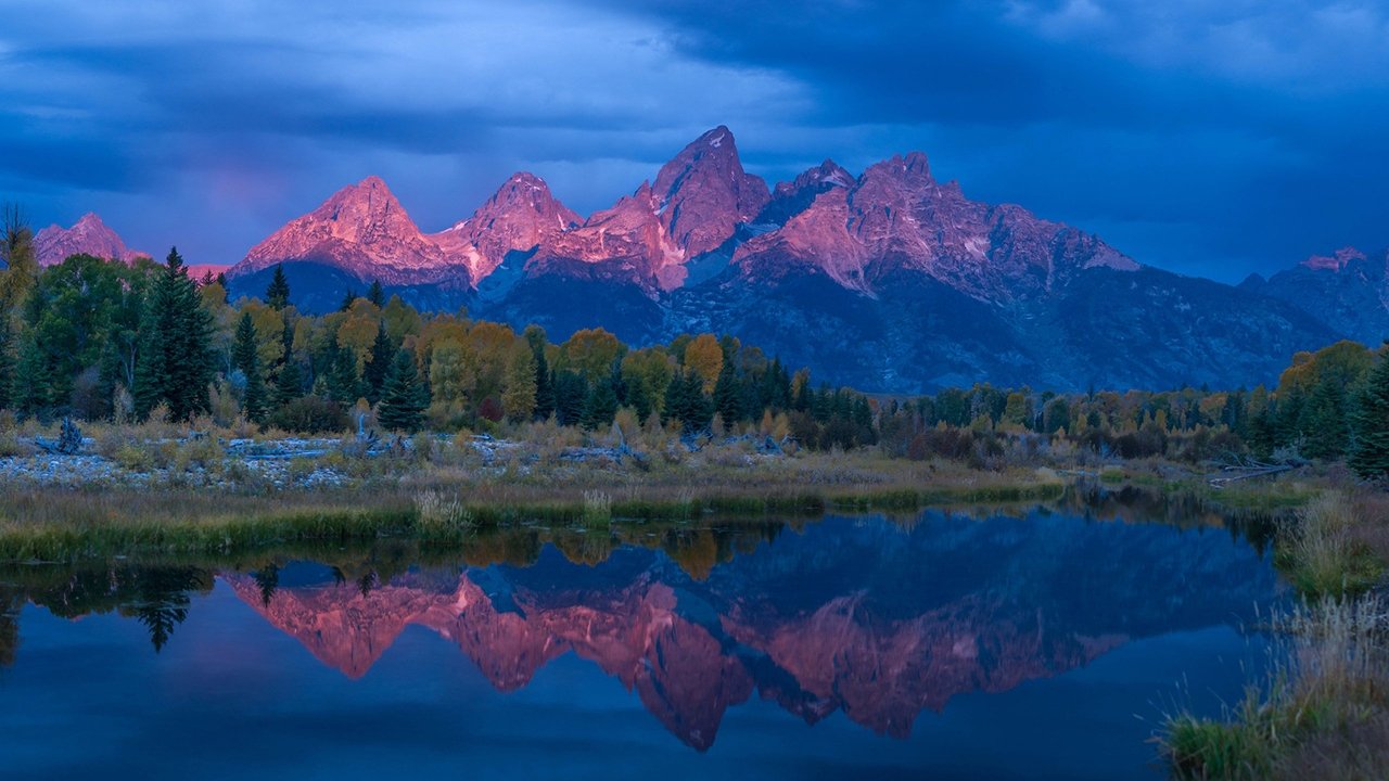 Yellowstone Selvagem